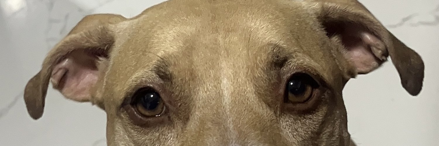 AngieMayorga25's profile banner image