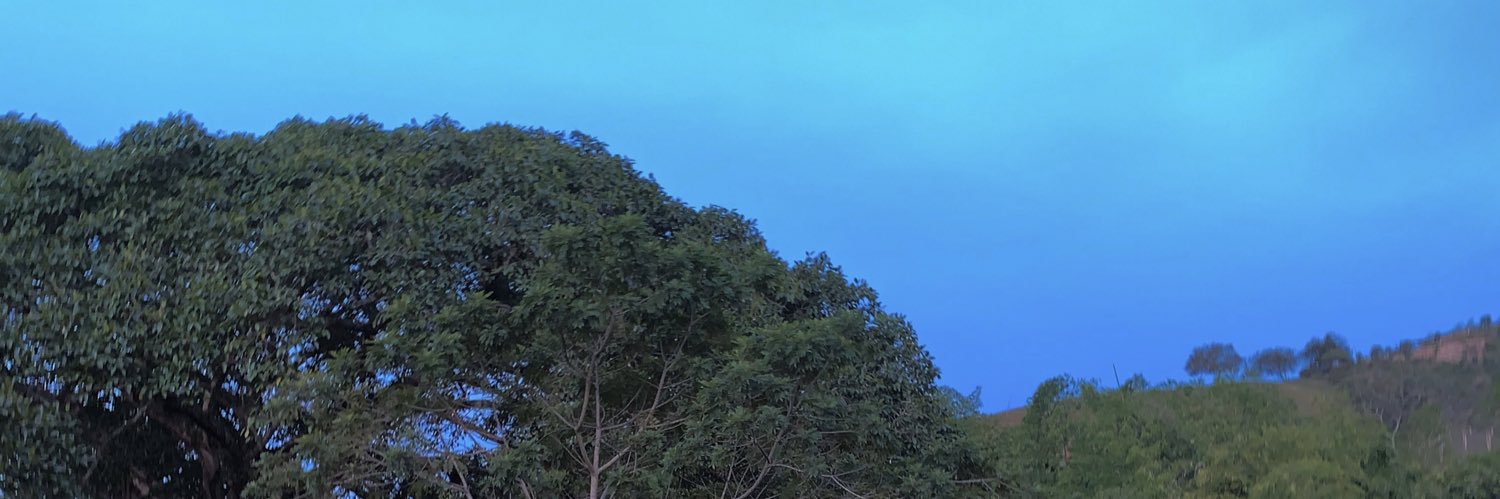karyy__'s profile banner image