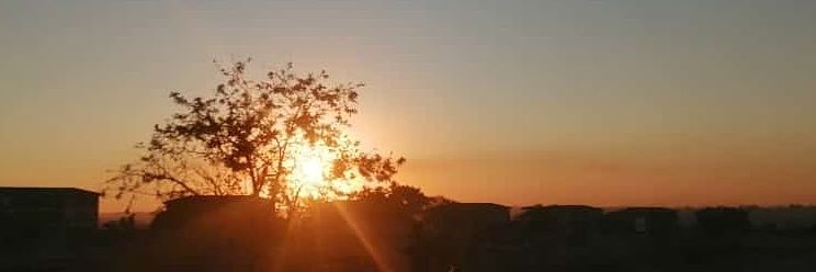 Rashid Salimu banner