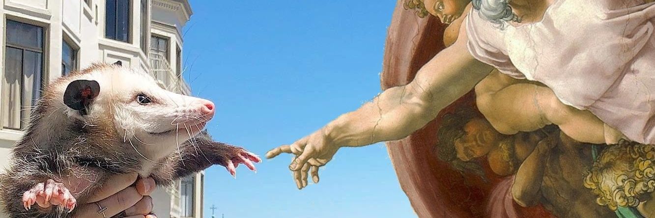 Trashcanakin's profile banner image