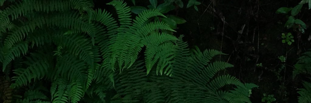 JuanMMoraY's profile banner image