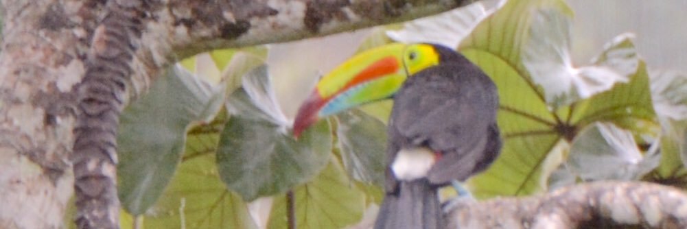 gabprefer's profile banner image