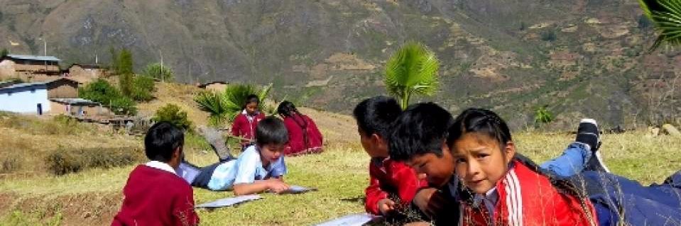 SOLE PERÚ banner