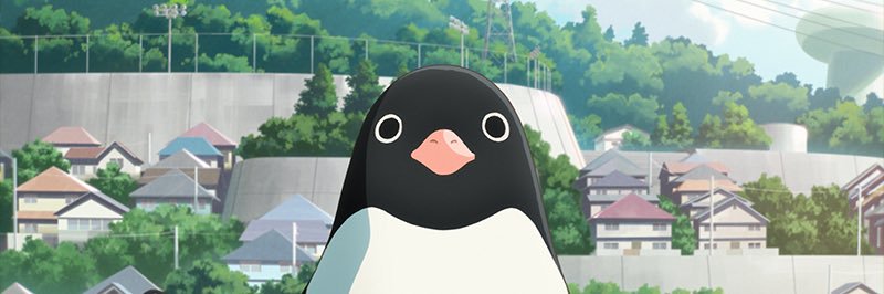 PingwinAdulek's profile banner image