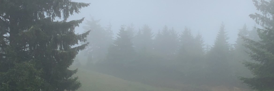 skyeanniee's profile banner image