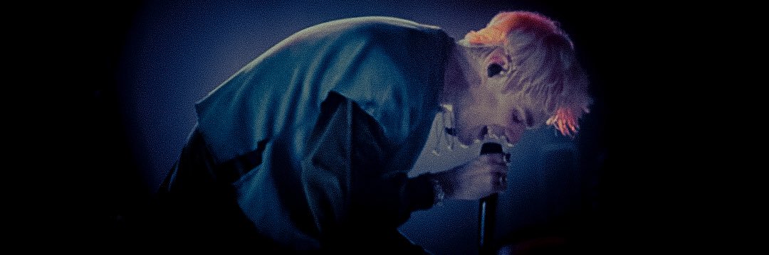 Zebrasorous's profile banner image
