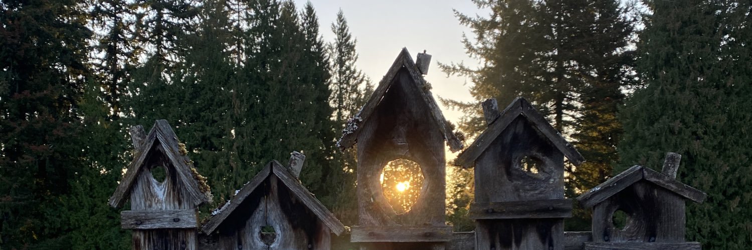NWubben's profile banner image