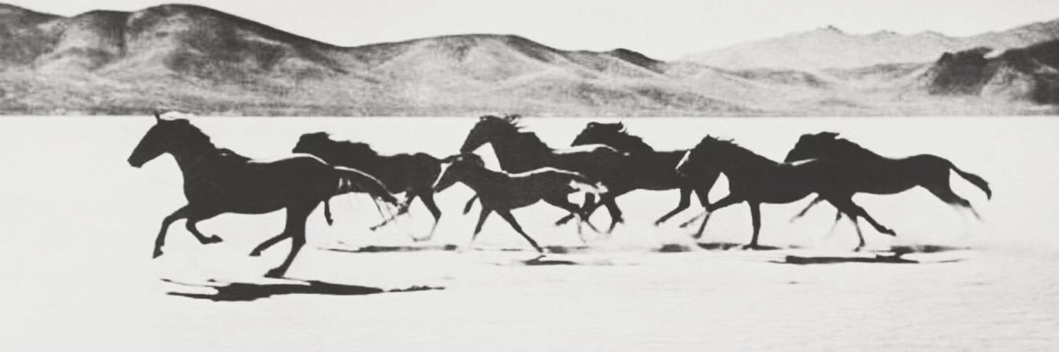 عقيد قوم banner