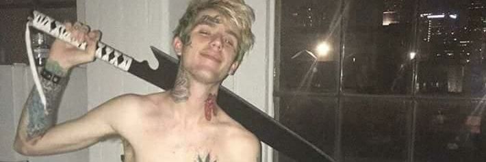 Frank R Stein banner