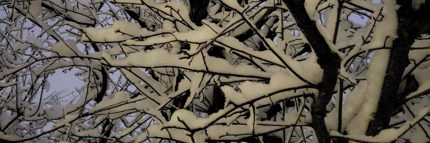 JulienP75's profile banner image