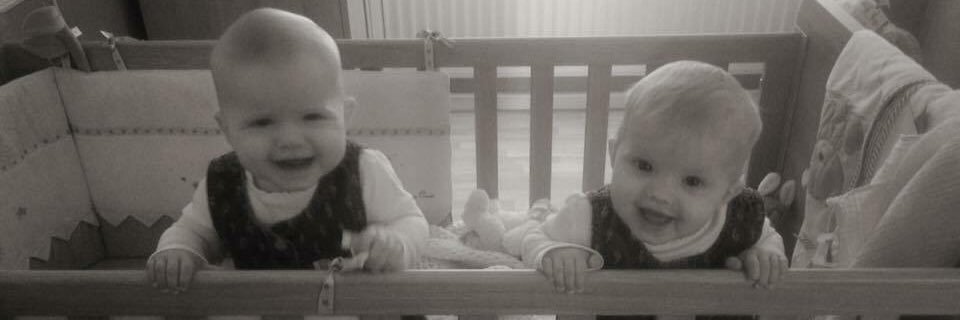 LeggyLeece's profile banner image