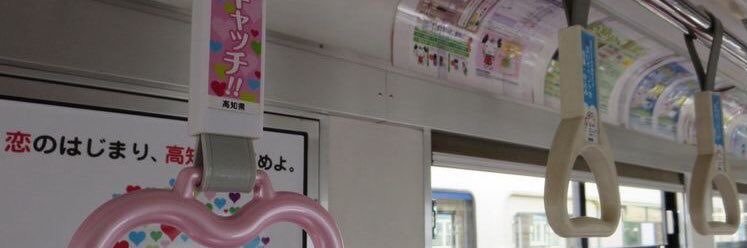 caralyn banner
