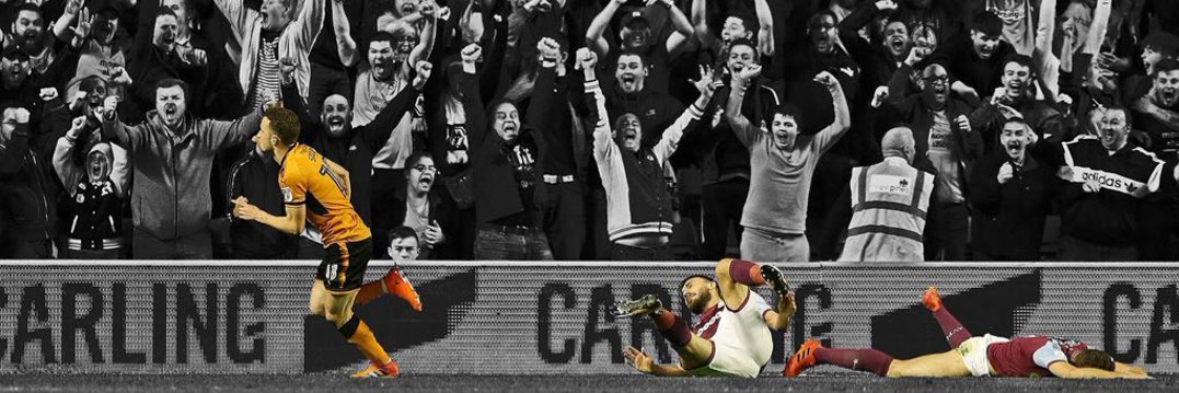 wolfmozman's profile banner image