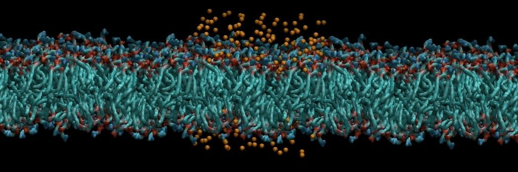 Angel David Reyes-Figueroa banner