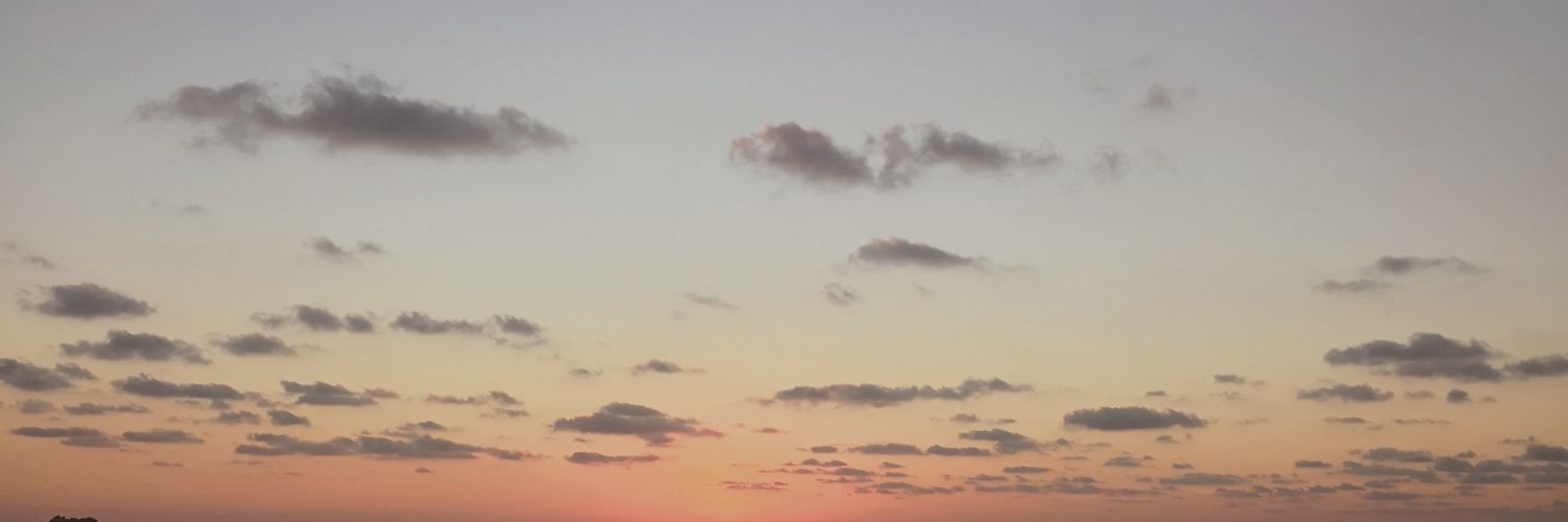 BrendaFlynn__'s profile banner image