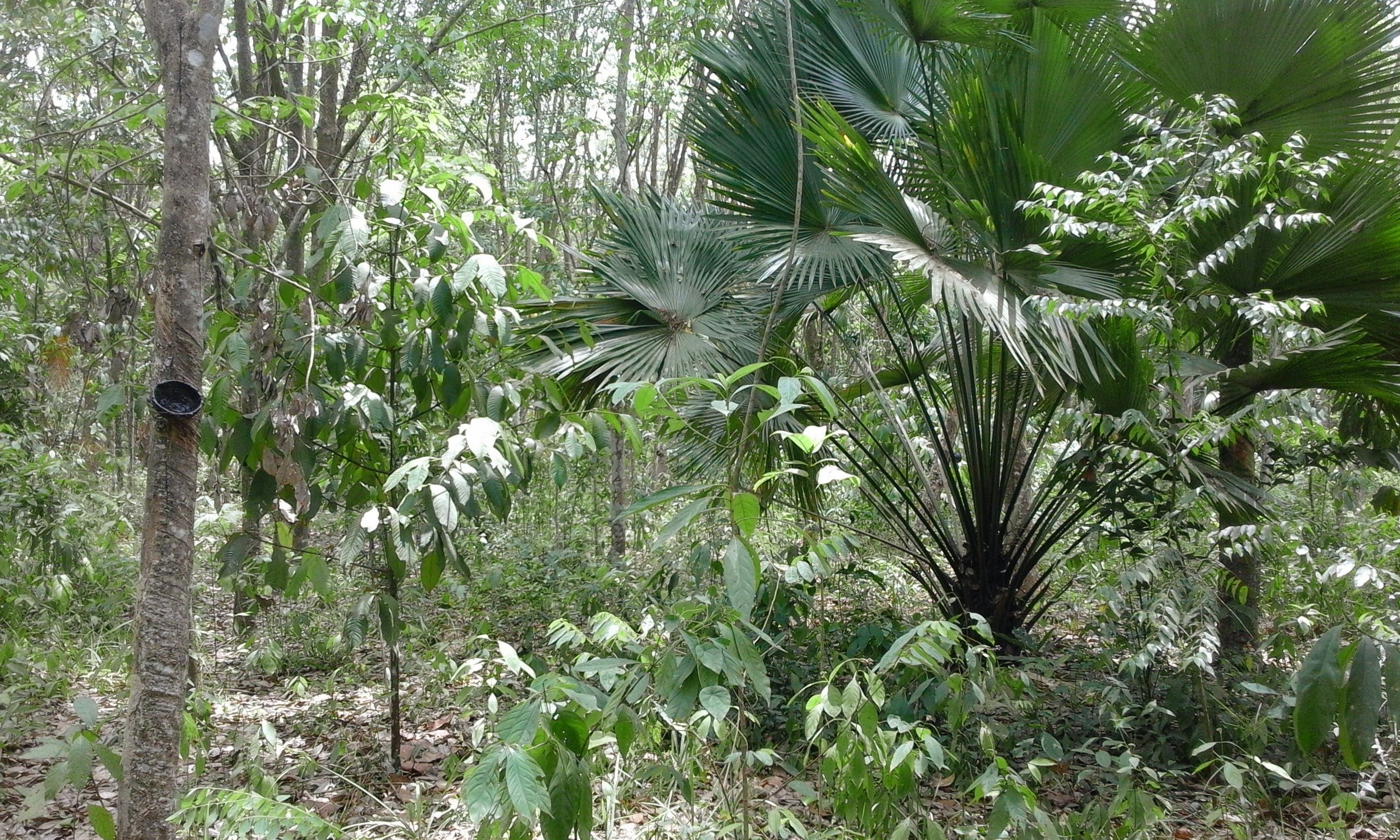 Eleanor Warren-Thomas ewt.bsky.social banner