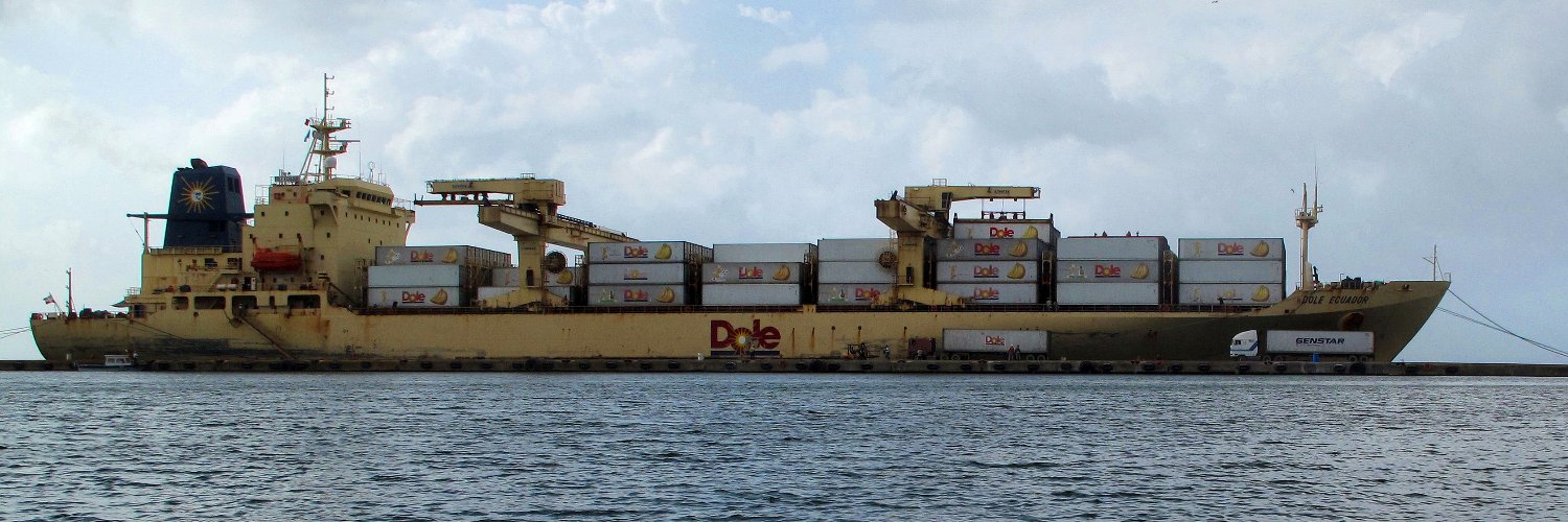 banana 🅱️oat maricón banner