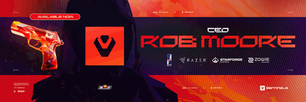 robmooreEsports Profile Banner