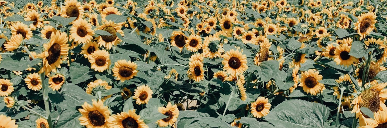 April_Diane97's profile banner image