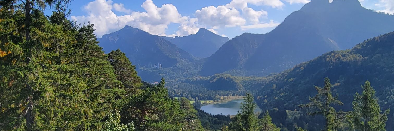 ben_pickert's profile banner image