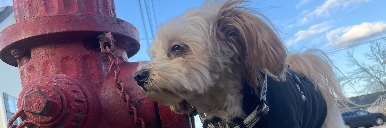 rayrayforty's profile banner image