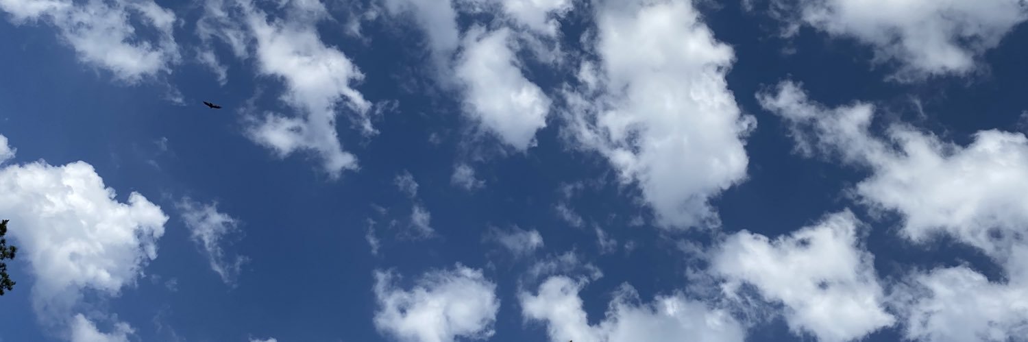 HCormane's profile banner image