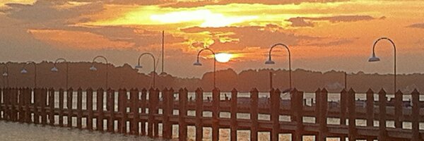 Rehogirl Profile Banner