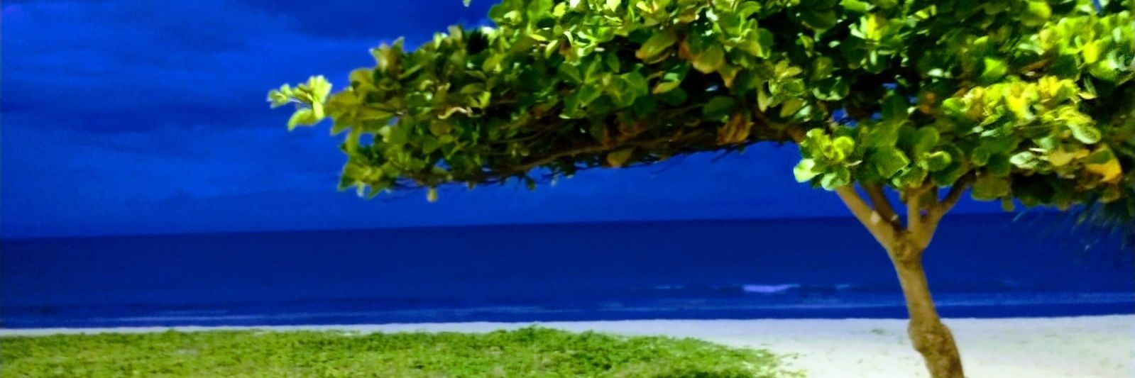 DenVilar's profile banner image