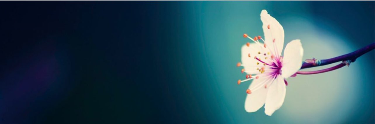 Tasty_Tots's profile banner image