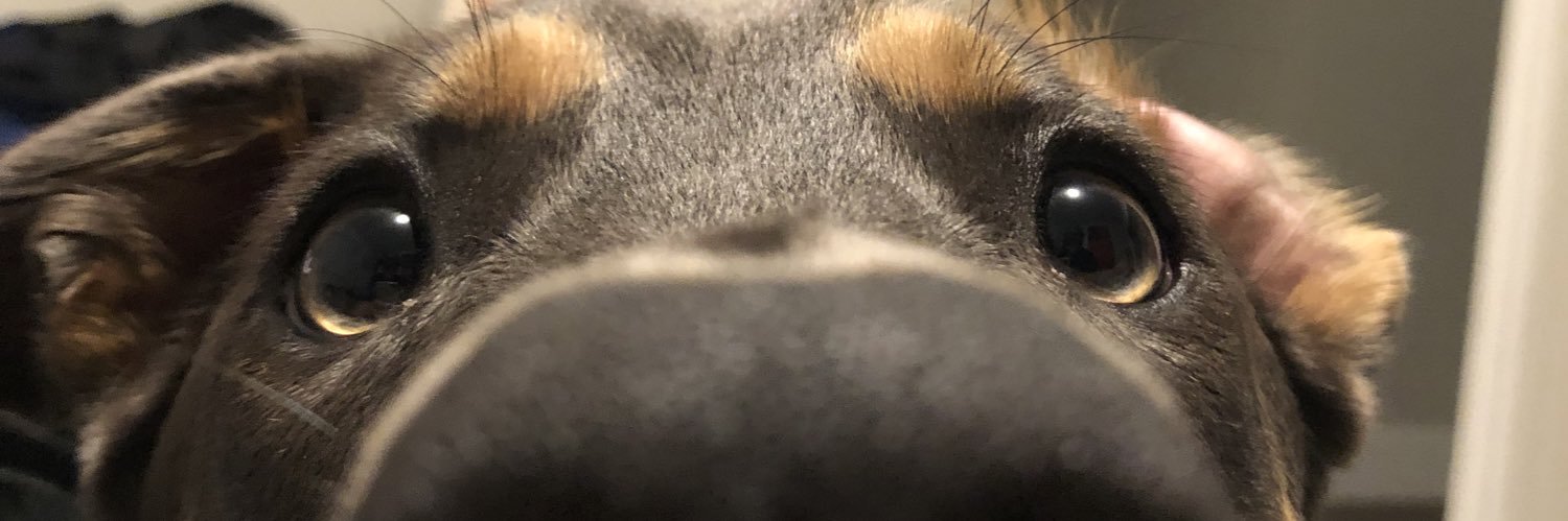 aye_mafa's profile banner image