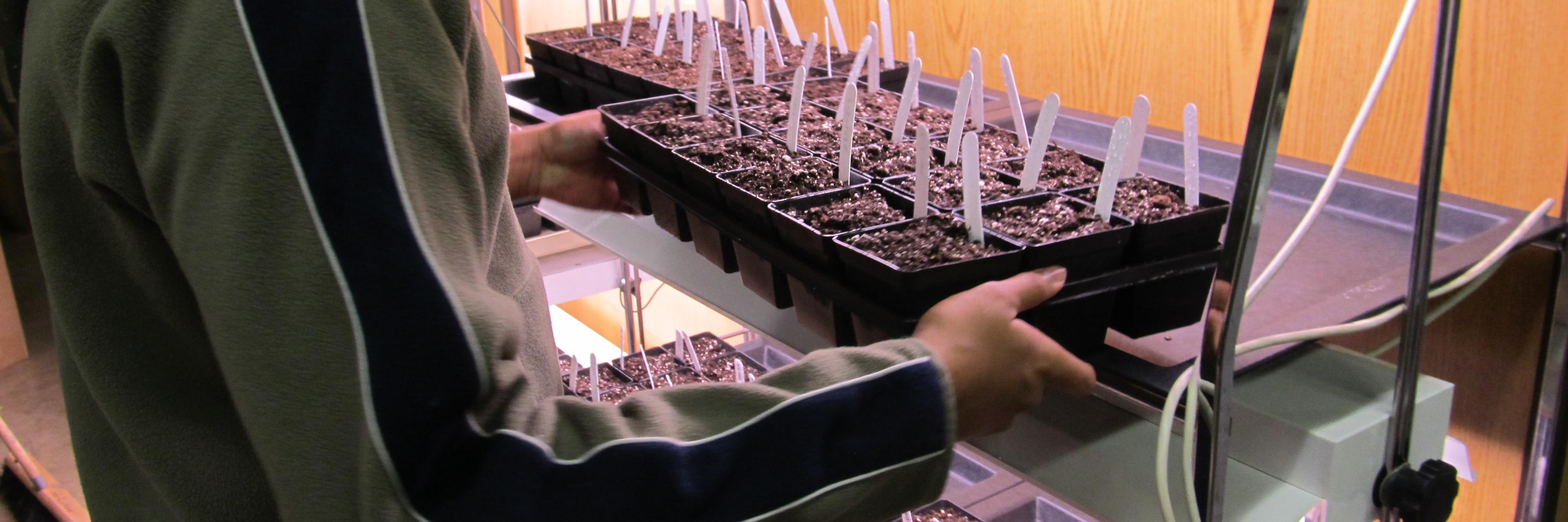 PlantingScience banner