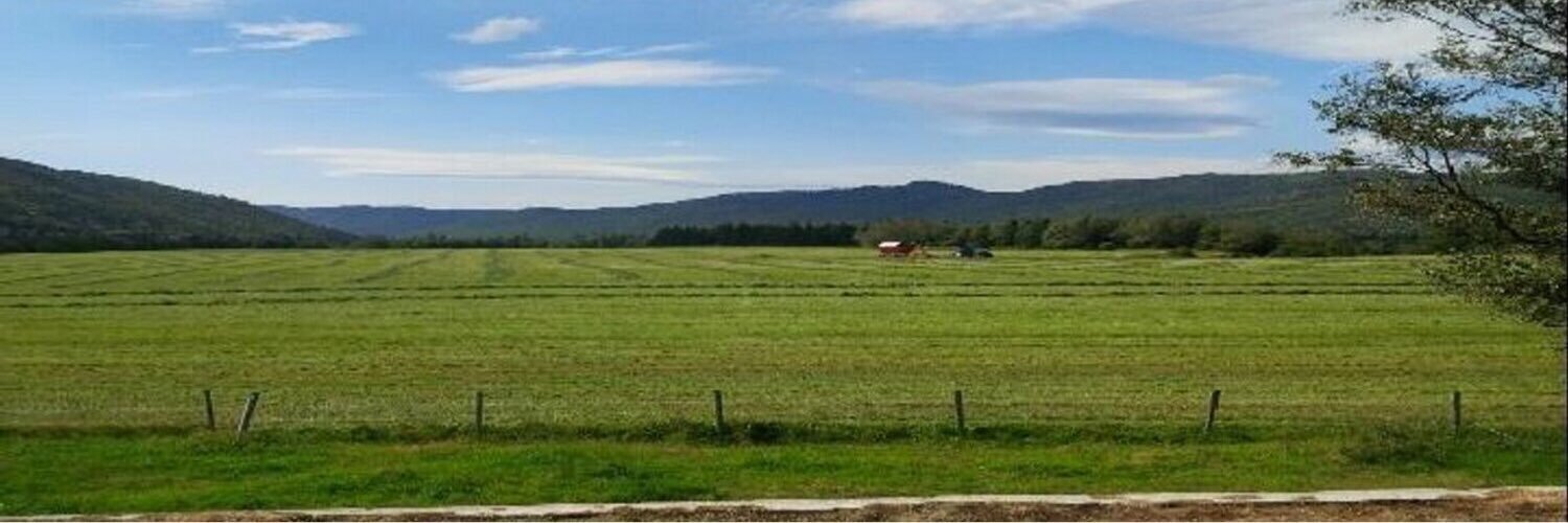 PureHolsteins's profile banner image