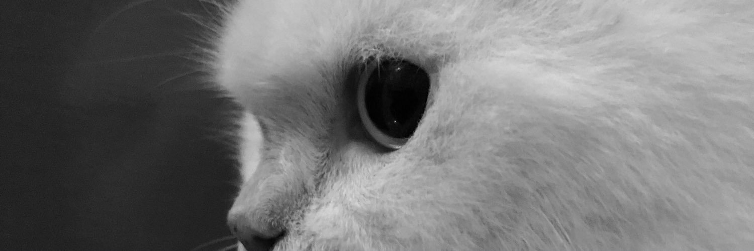 ponakan's profile banner image
