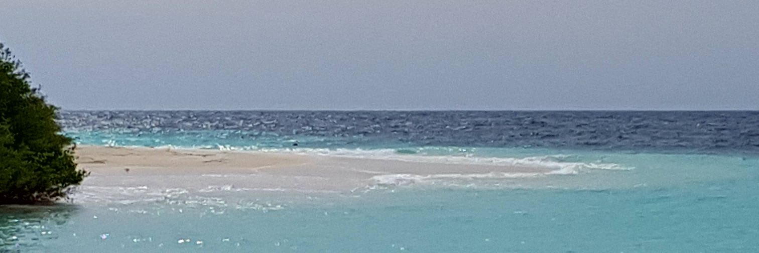 Jeehan Mahmood banner