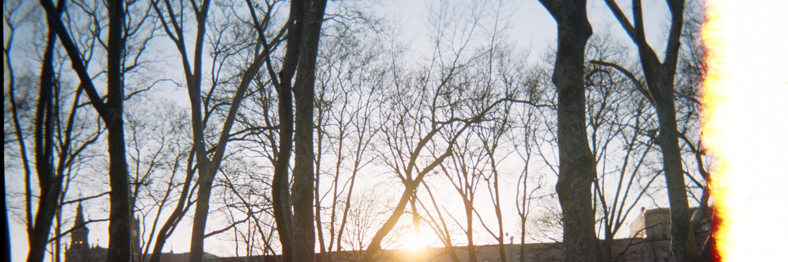 dangerlome's profile banner image