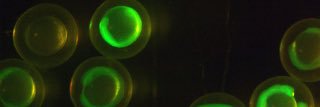 possyu4123's profile banner image