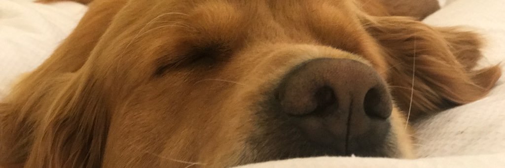 Brendan1992's profile banner image