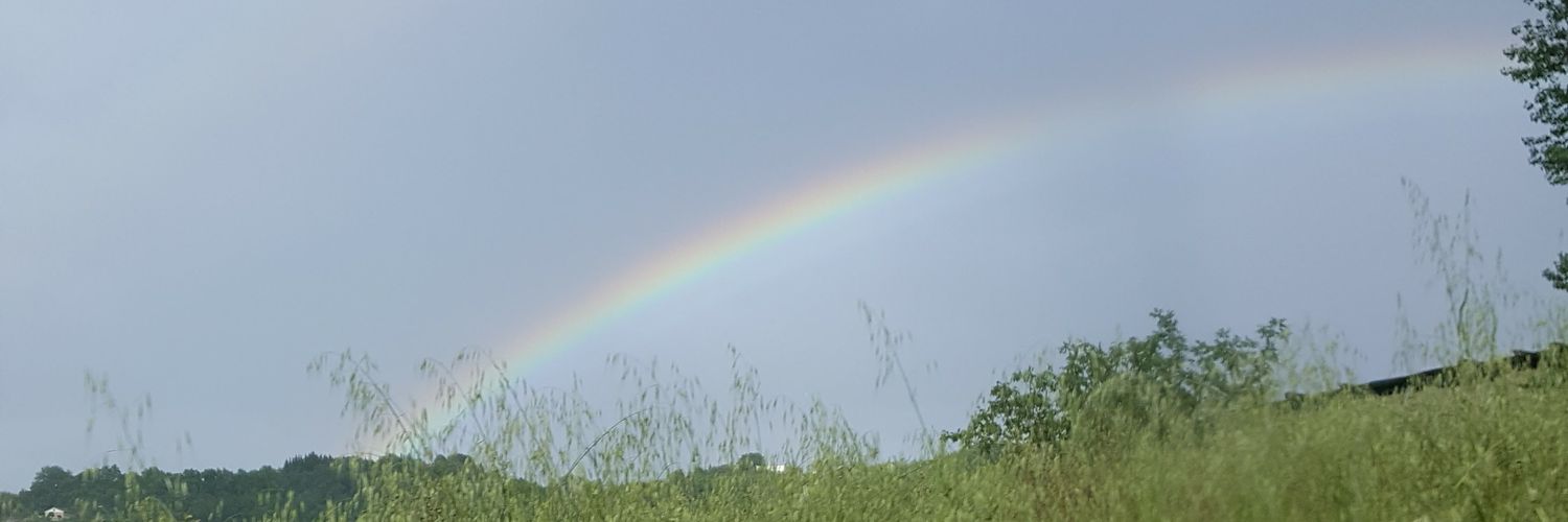 AmWhatIAm 🇺🇲🦁☀️🇺🇸 banner