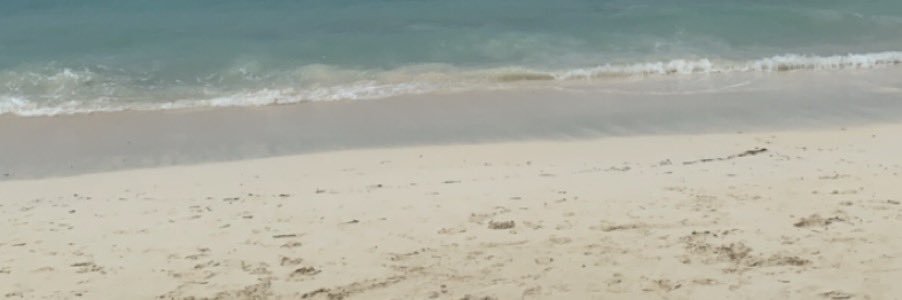 MxgMafia's profile banner image