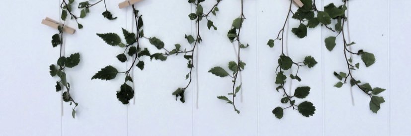MadisonLyn18's profile banner image