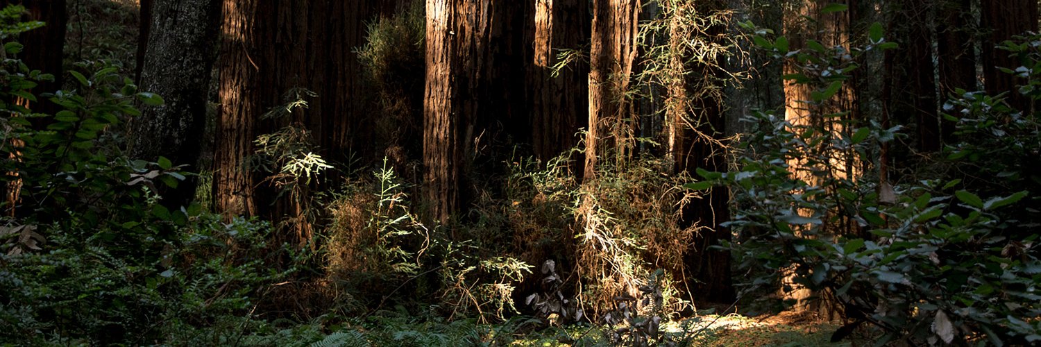 ForerunnerG34's profile banner image