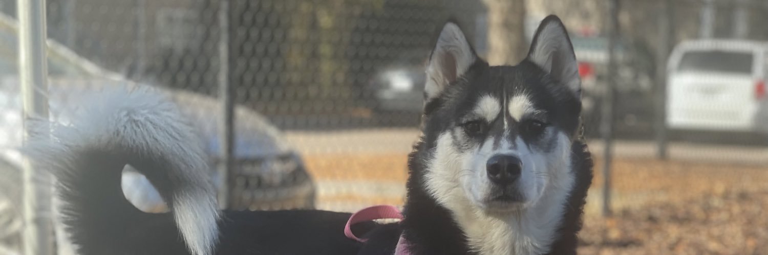 DevoneDixon's profile banner image