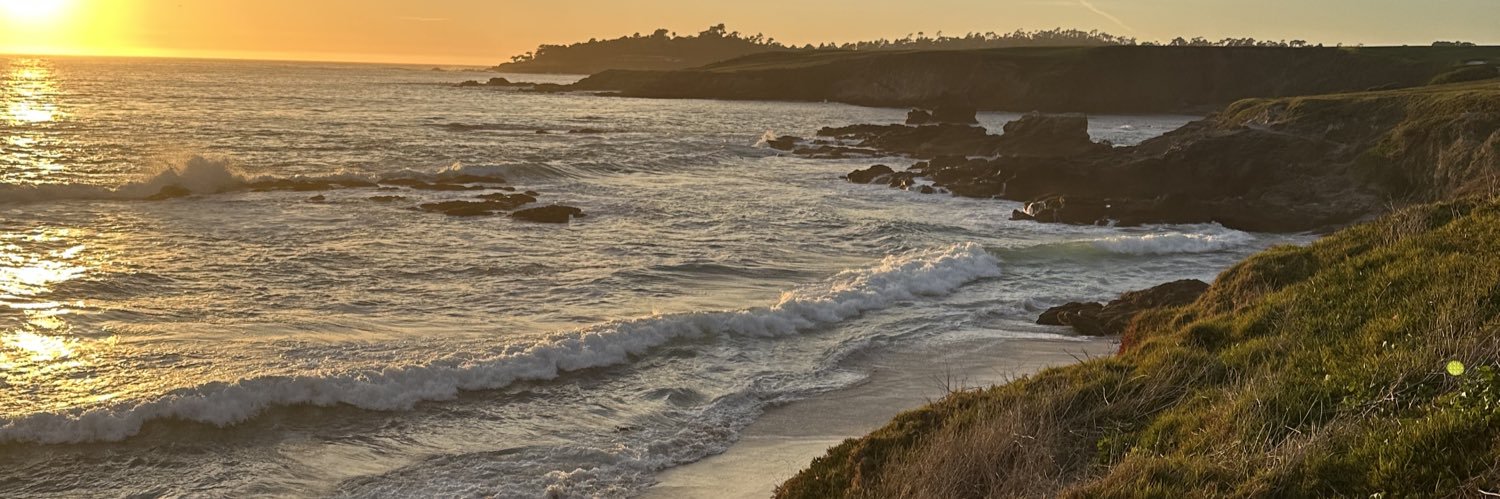 Peter Jeffrey banner