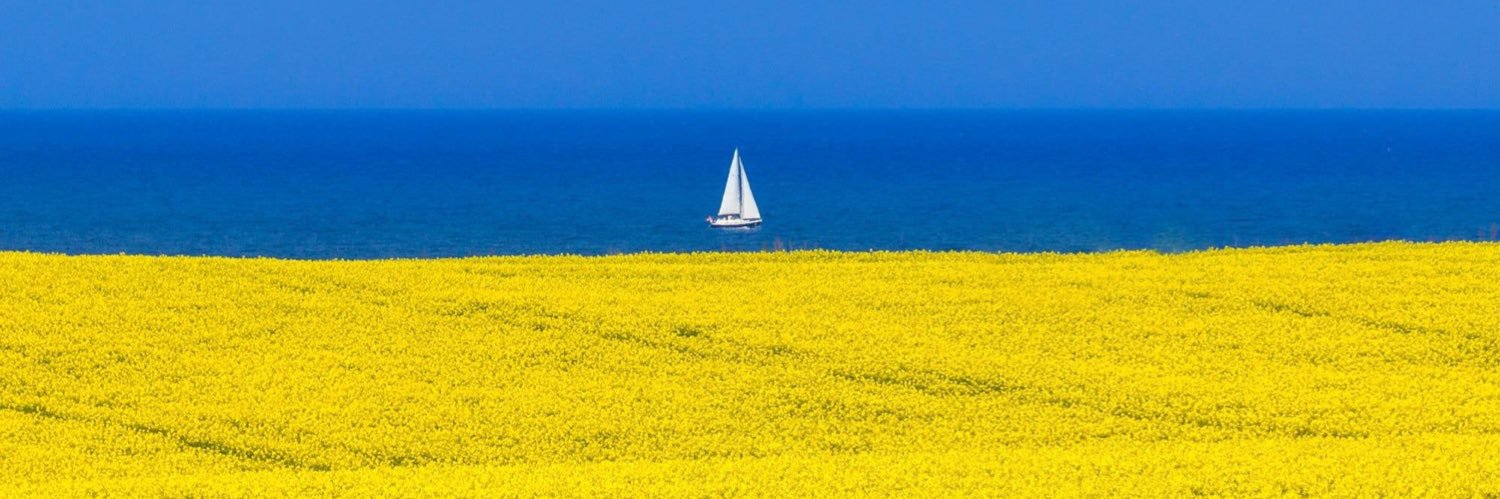 deltadeltaG's profile banner image