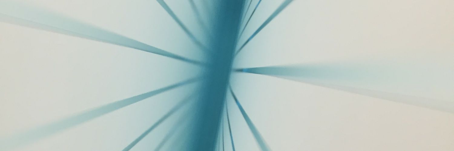 Steven Feinstein banner