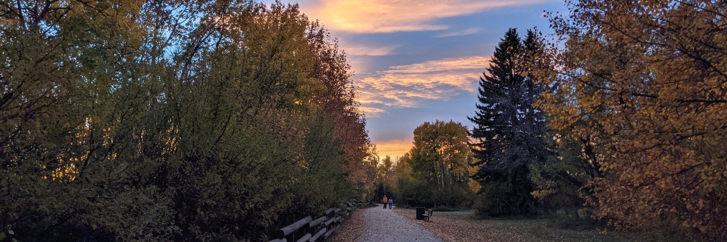 BeaMielke's profile banner image