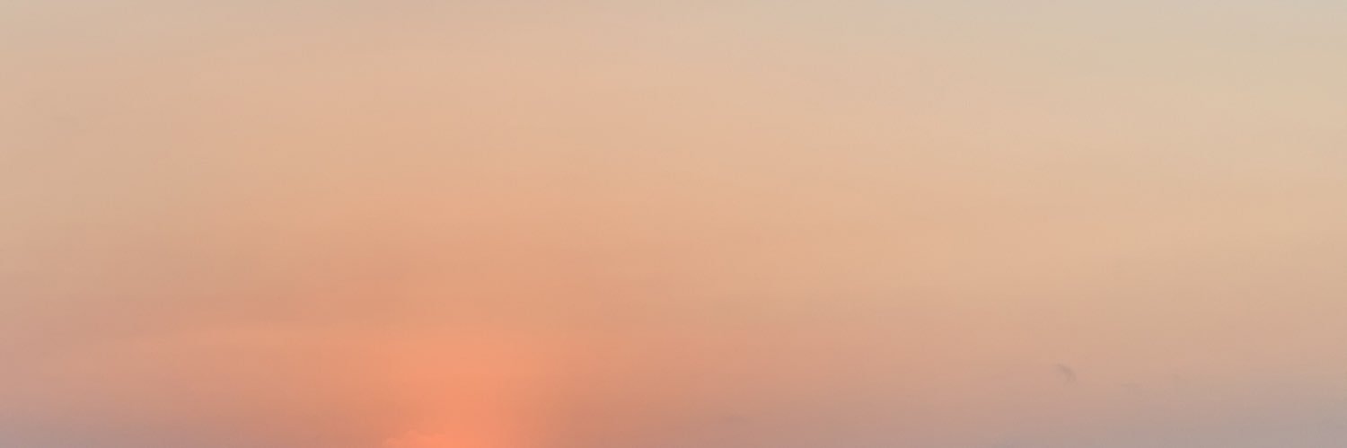 Gustavo PAZMIN PEREA banner