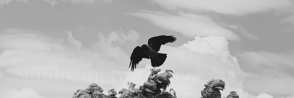 MathiasSvold Profile Banner