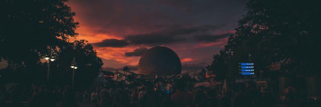 carinapit's profile banner image