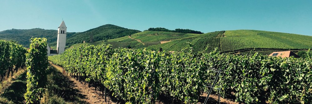 Veev l'Alsaceàcoeur banner